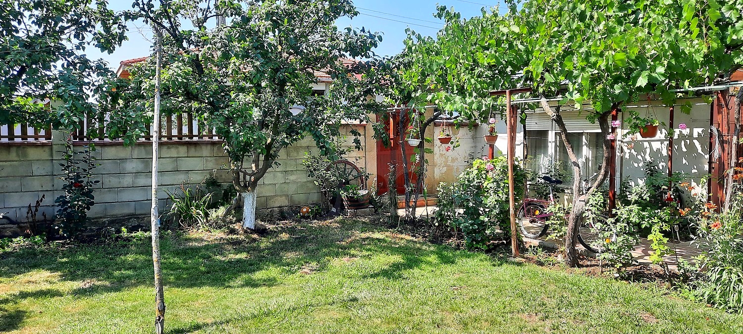 garden, outside, green area