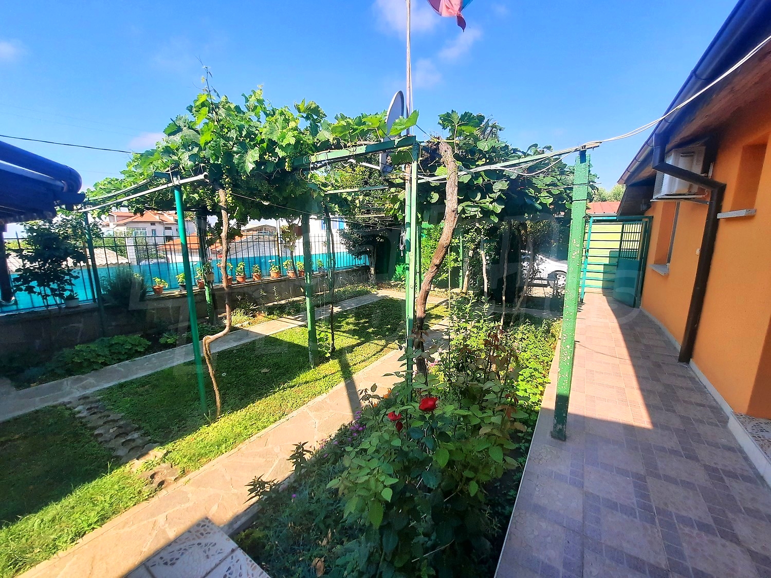 outside, garden