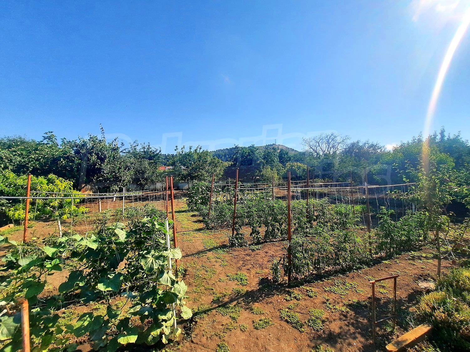 outside, garden, mountain, green area