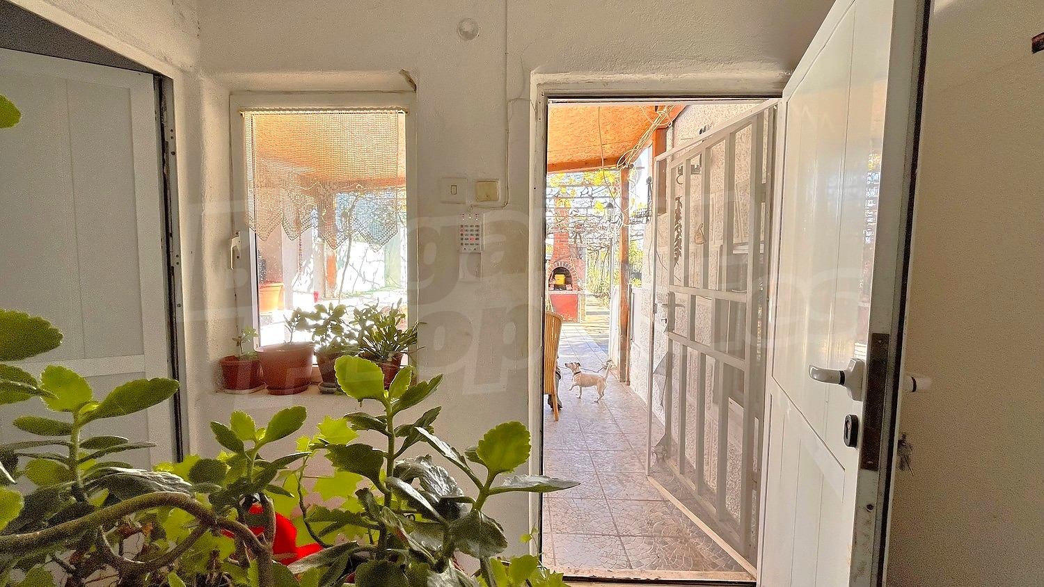 inside, garden