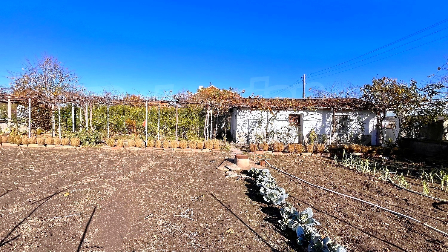 outside, garden