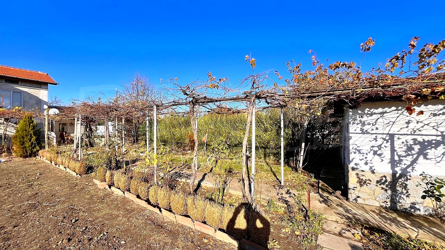 outside, garden