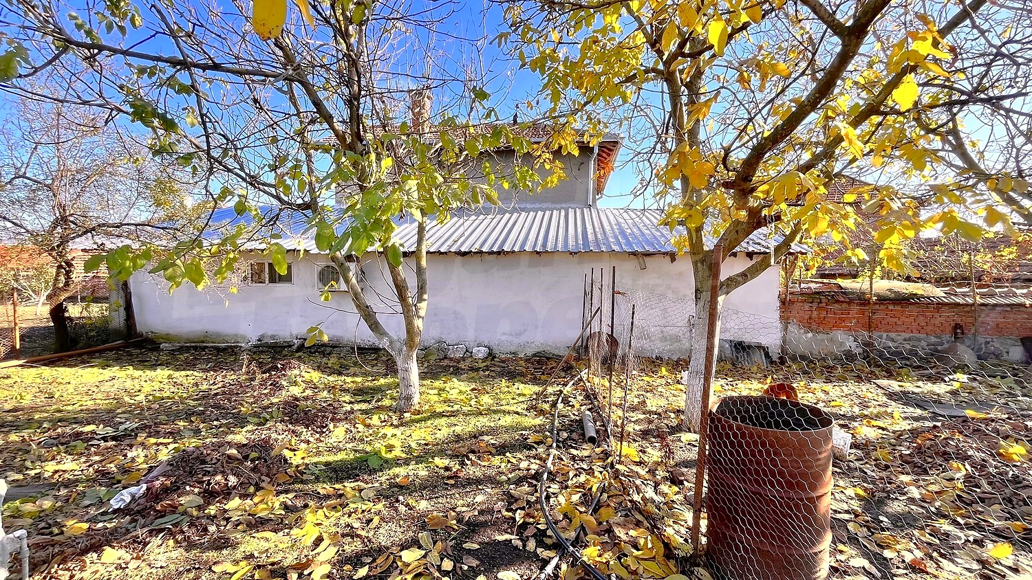 outside, garden
