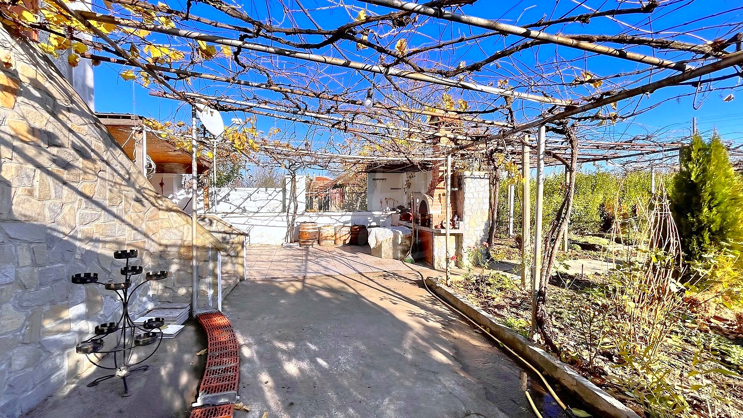 outside, garden