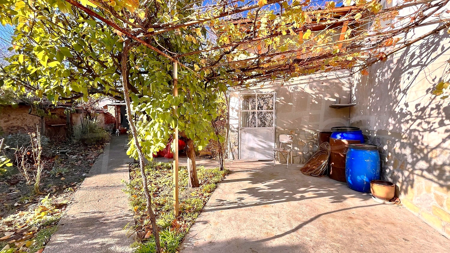 outside, garden