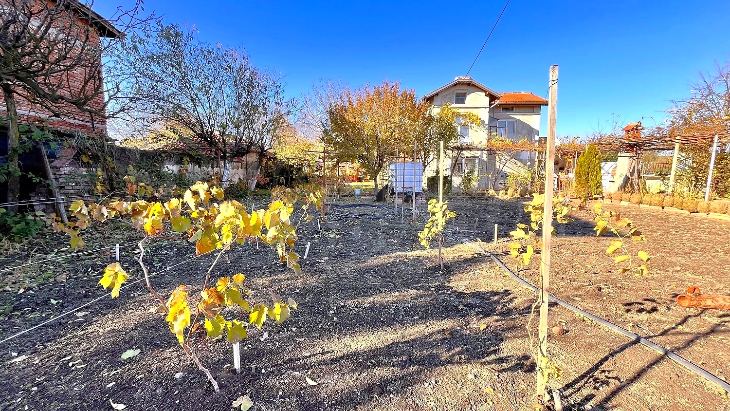 outside, garden