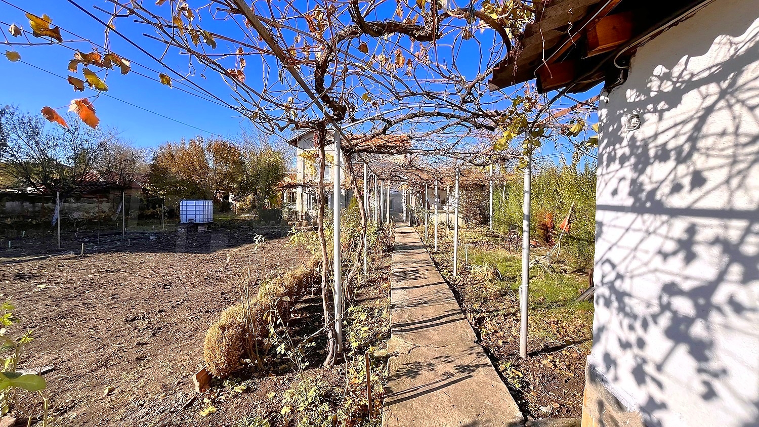 outside, garden