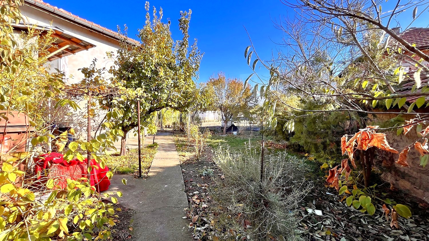 outside, garden