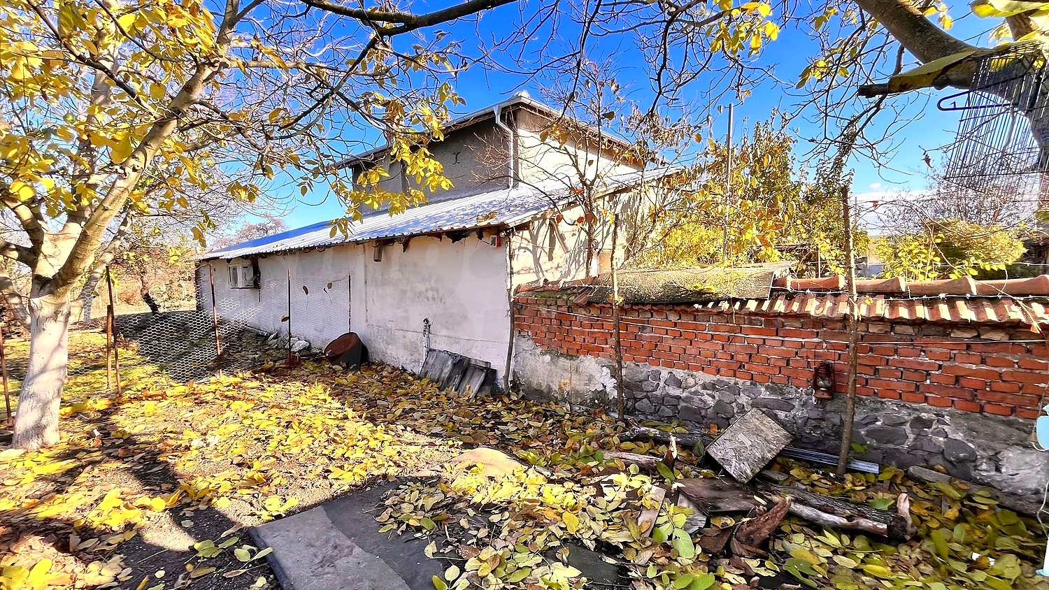 outside, garden