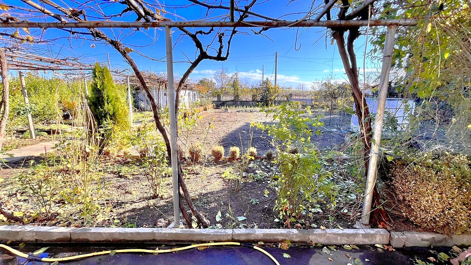 garden, outside