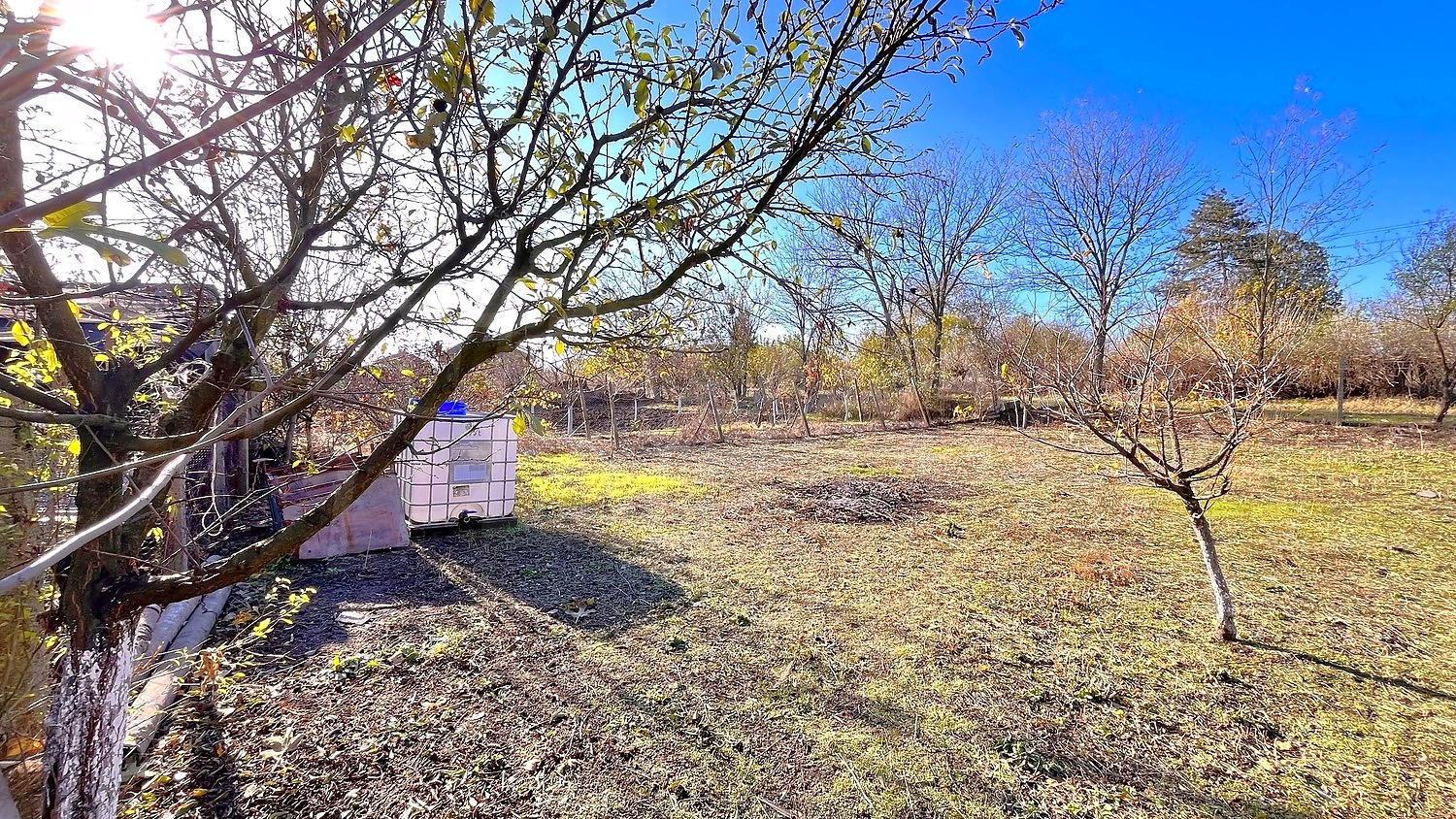 outside, garden, green area