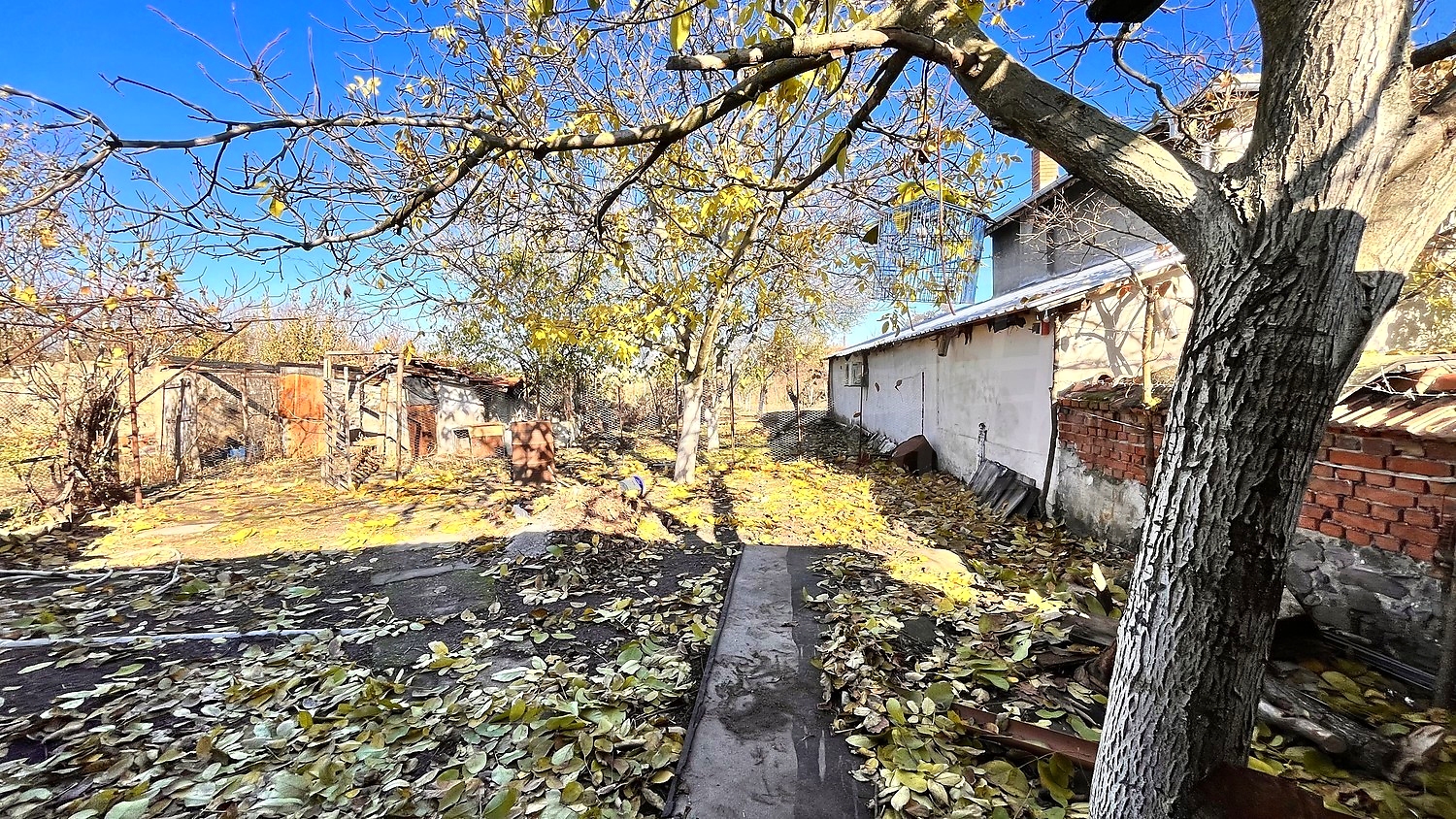 outside, garden
