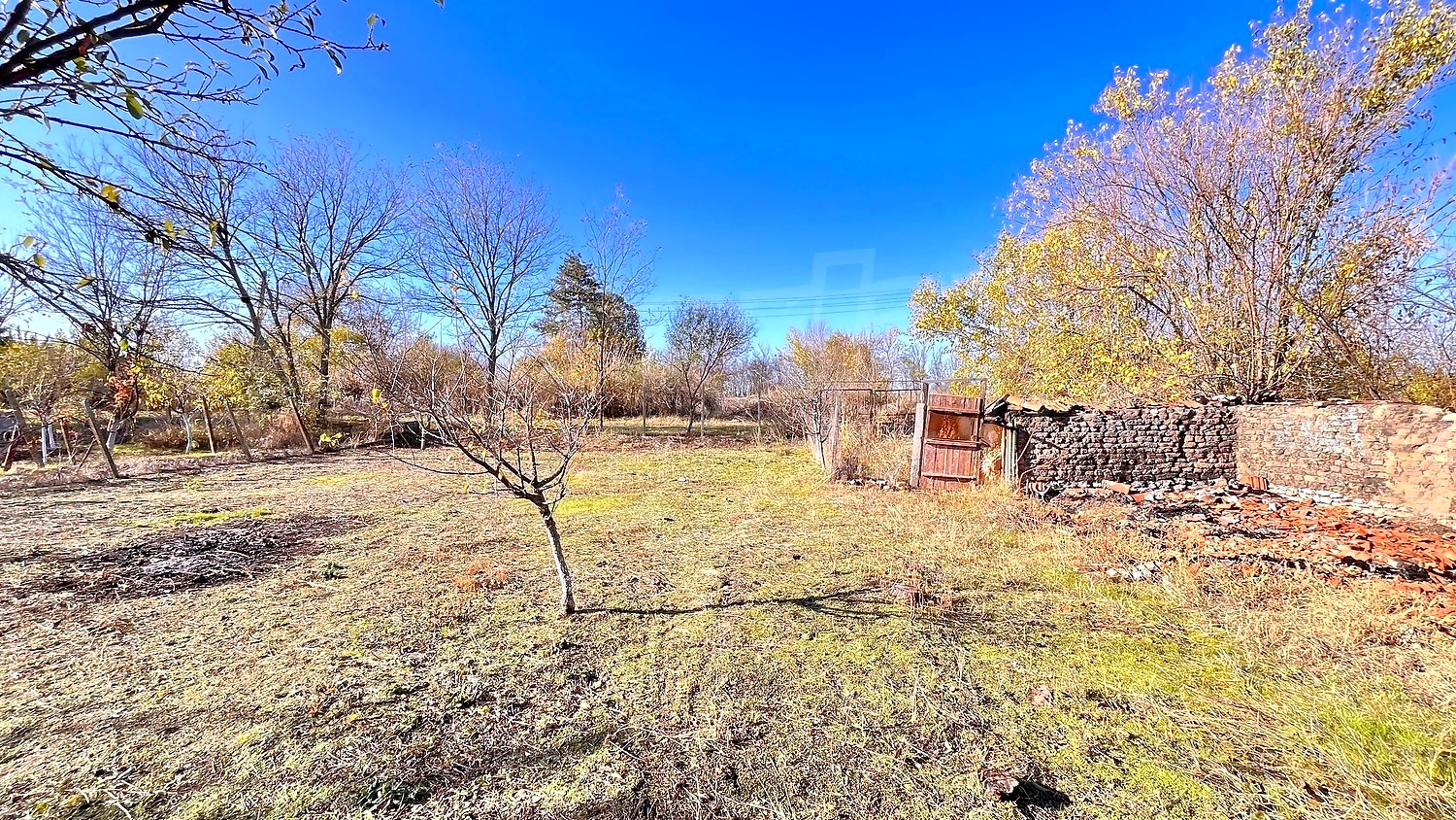 outside, garden, green area