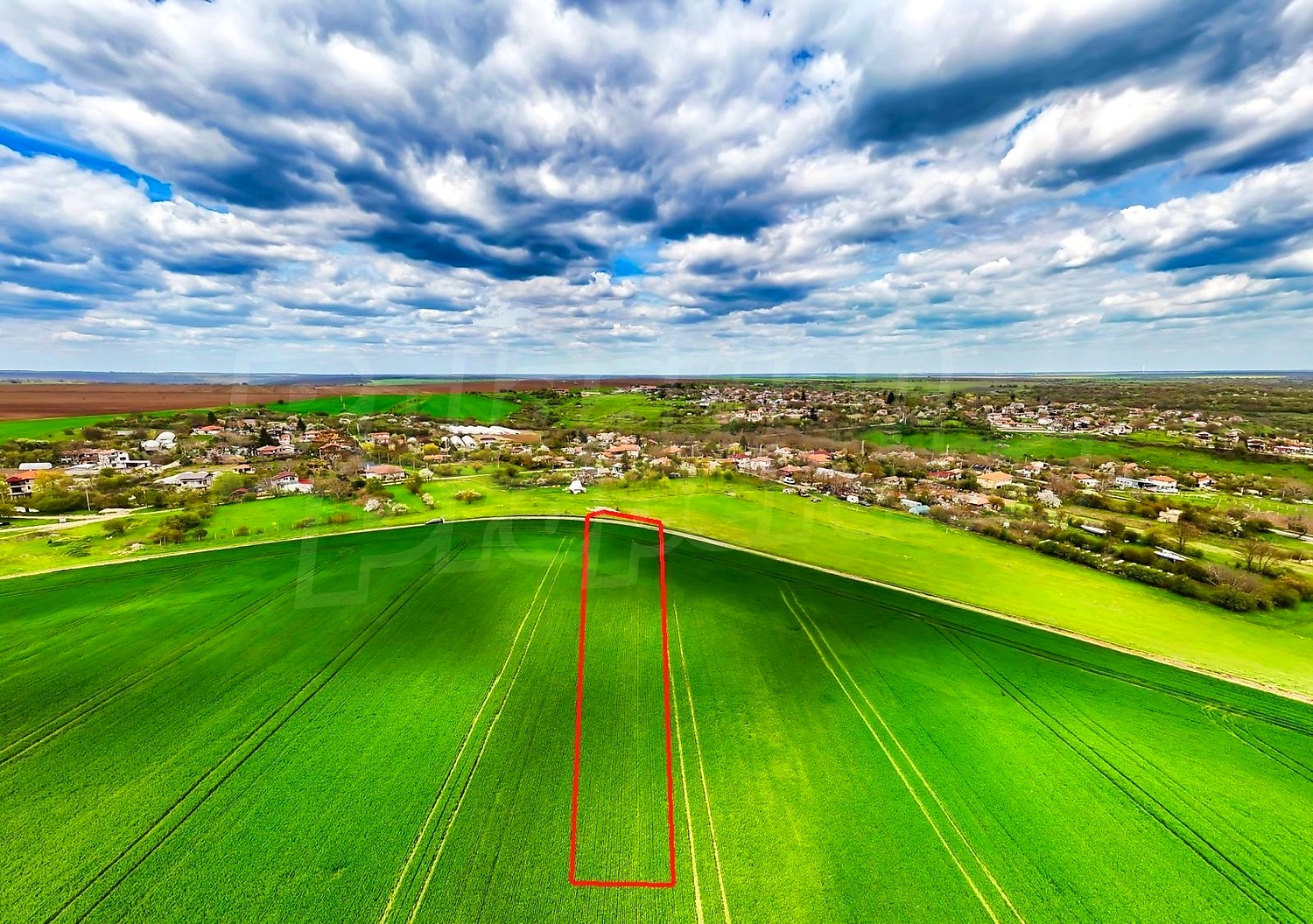 outside, green area