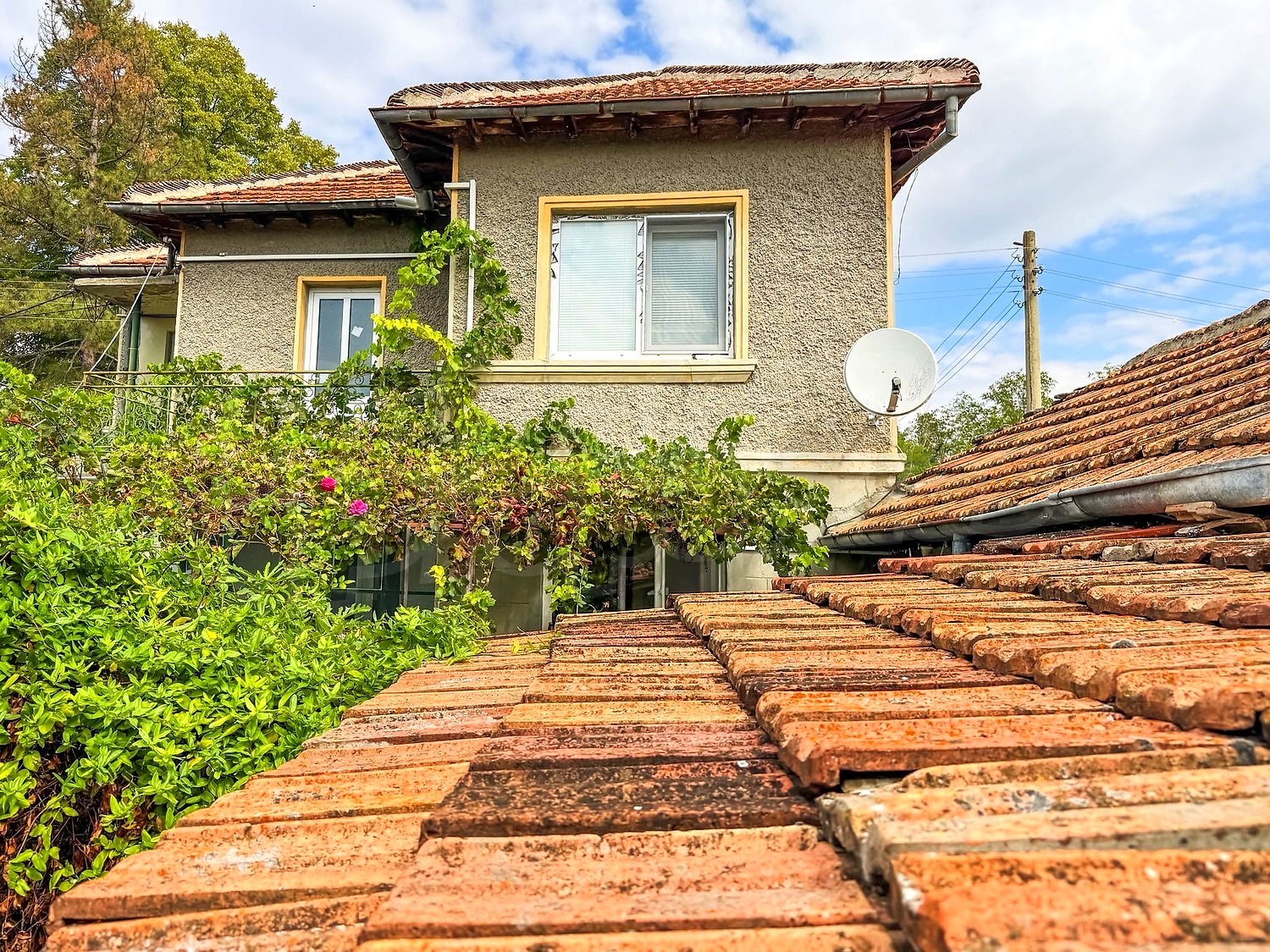 outside, facade, garden