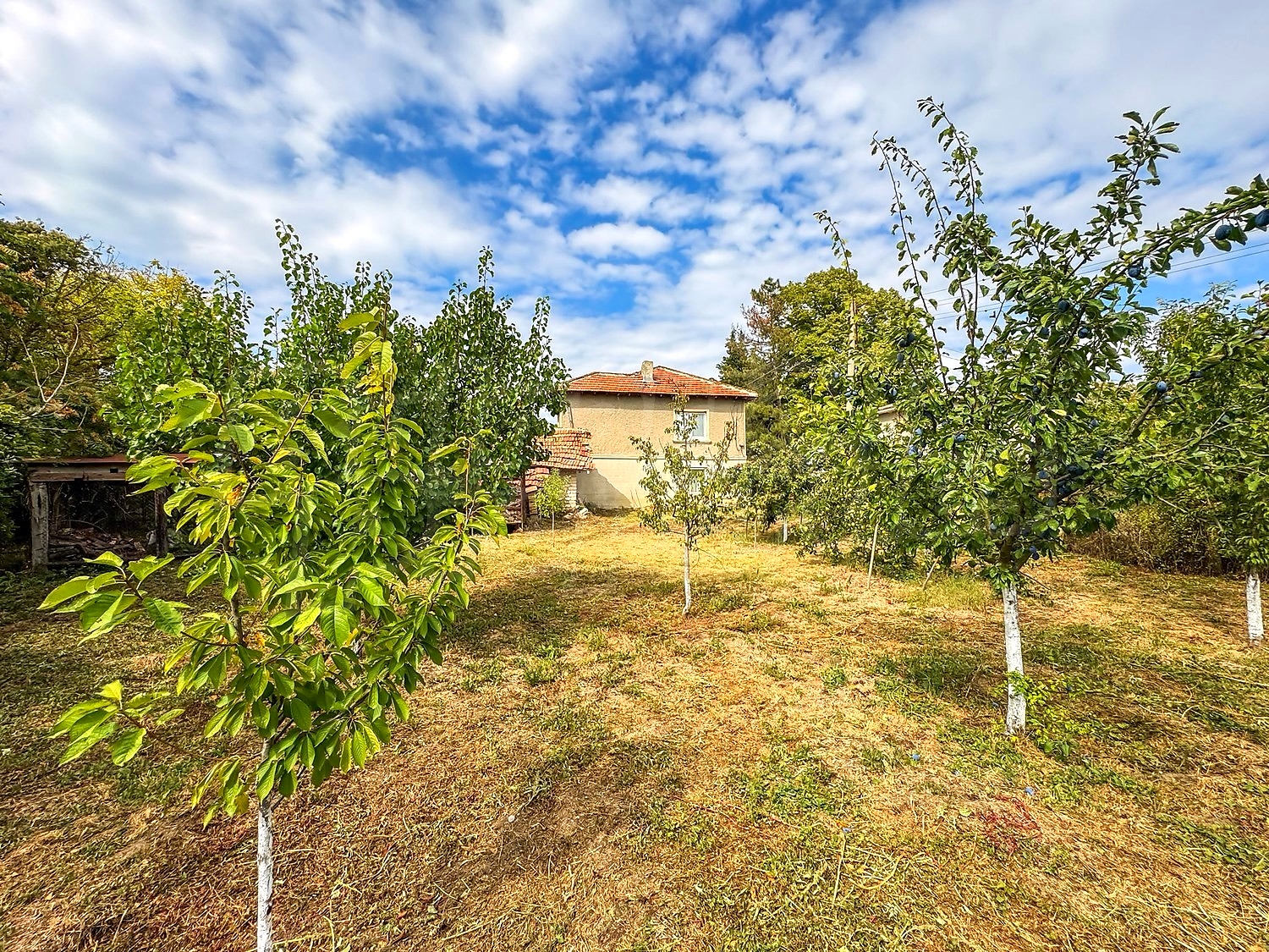 outside, garden, facade, green area