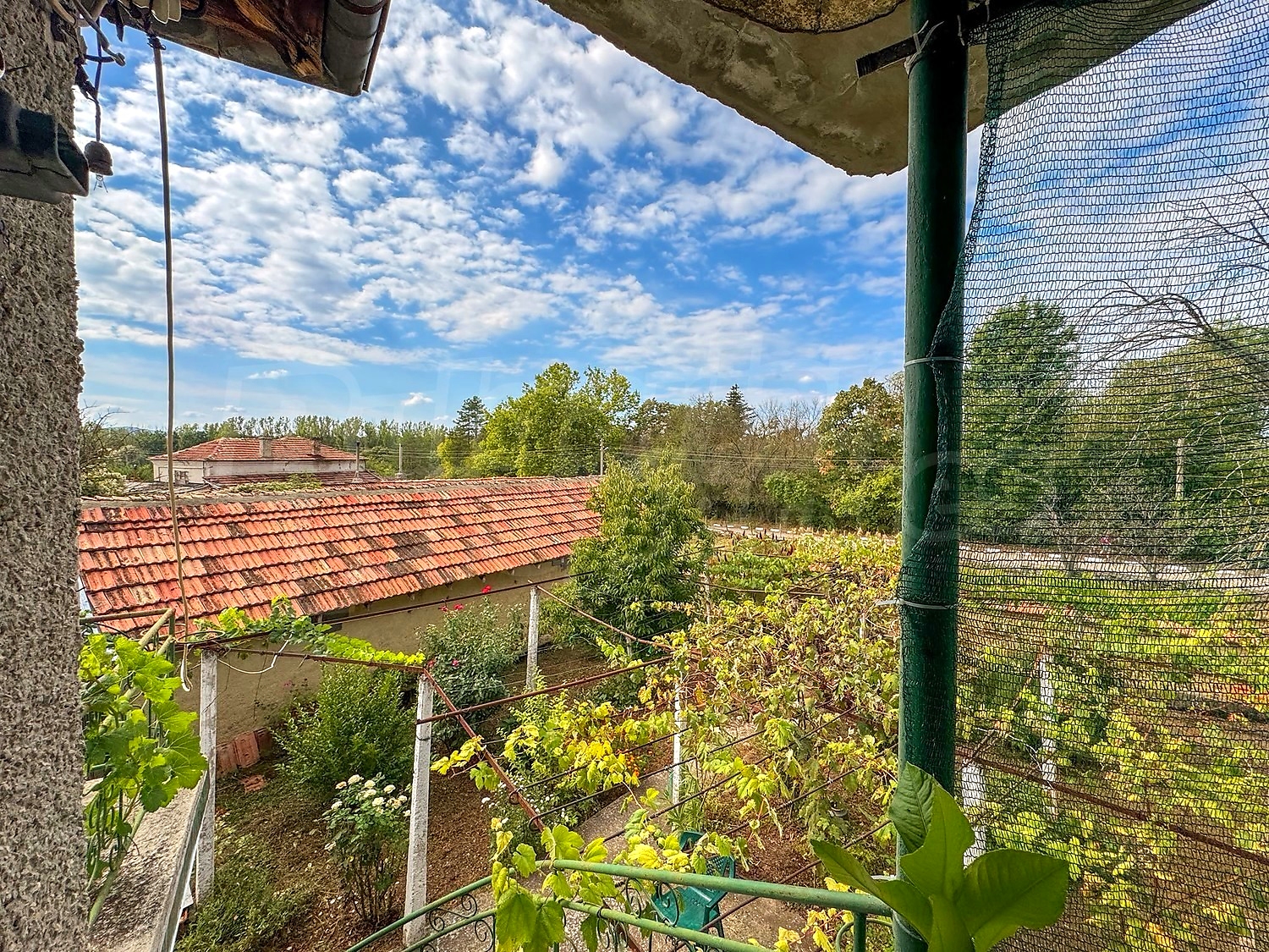 outside, garden