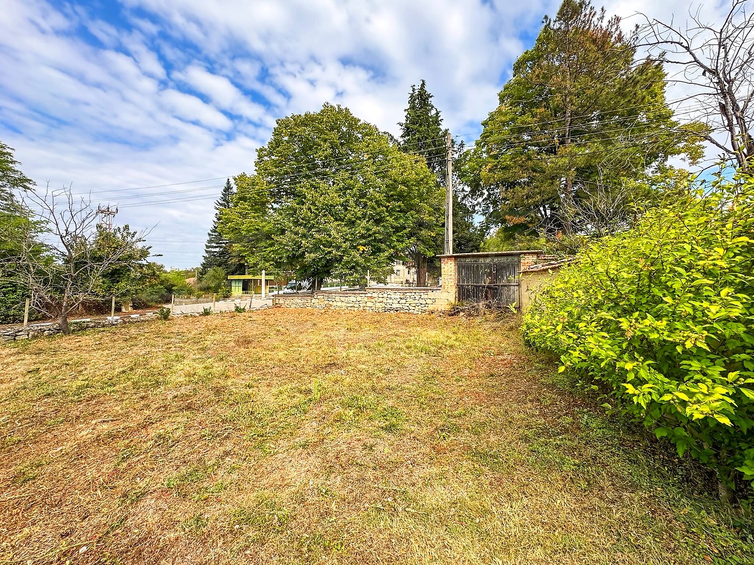 outside, garden