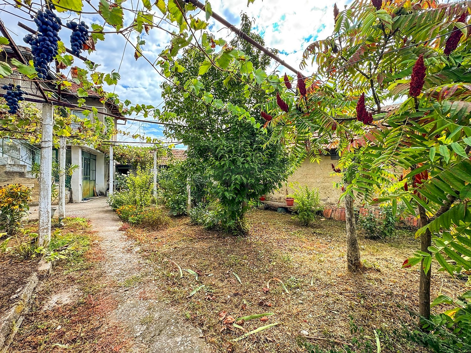 outside, garden