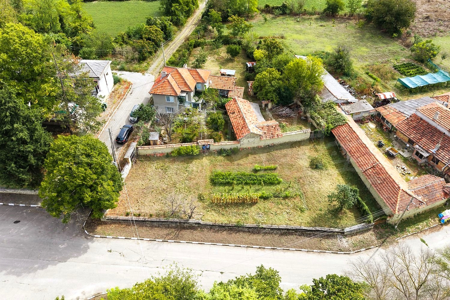 outside, garden, green area