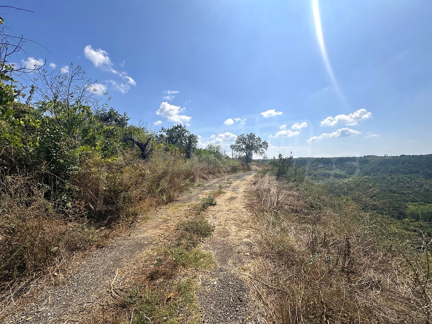 outside, mountain, green area