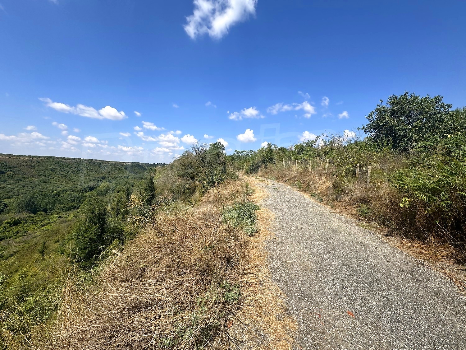 outside, mountain, green area