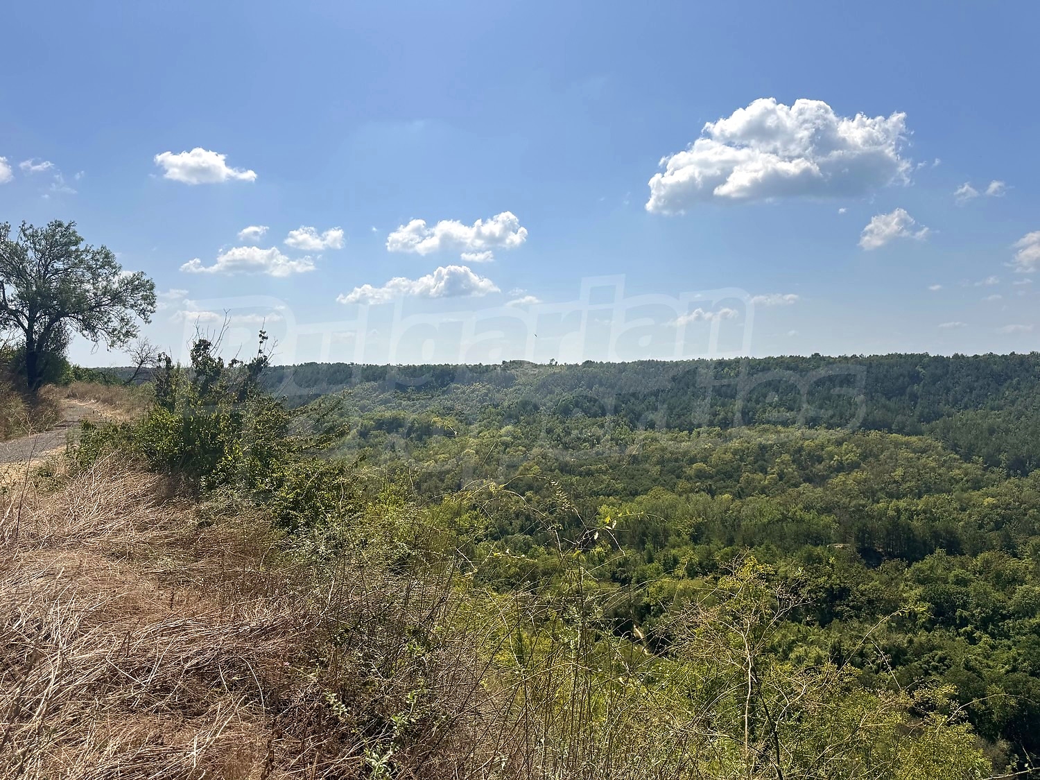 outside, mountain, green area