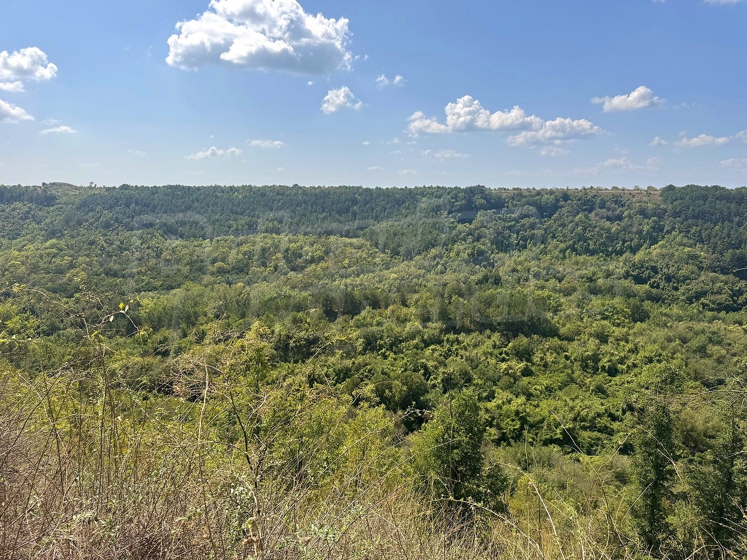 outside, green area