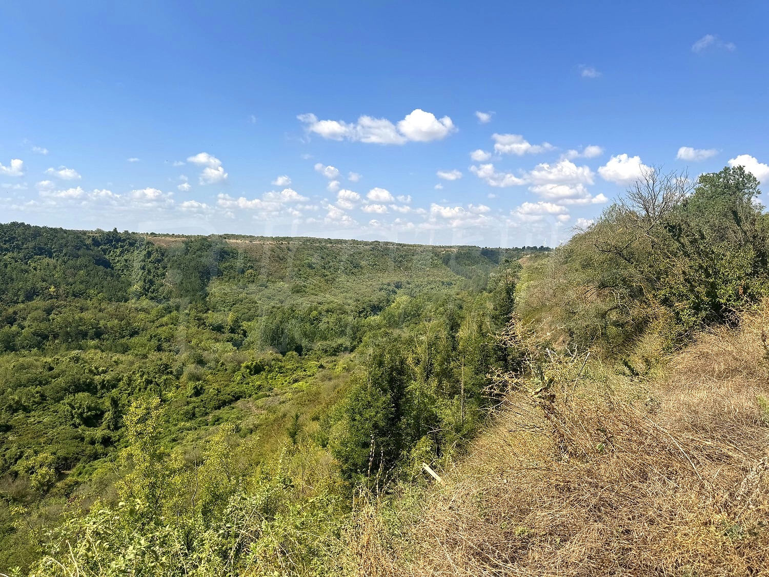 outside, green area