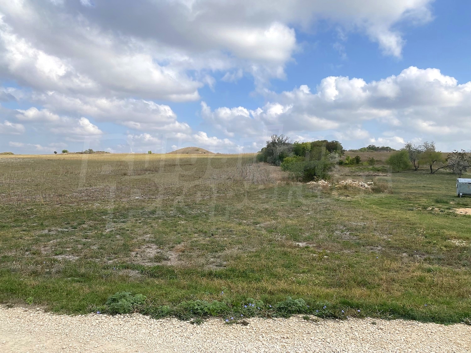 outside, green area