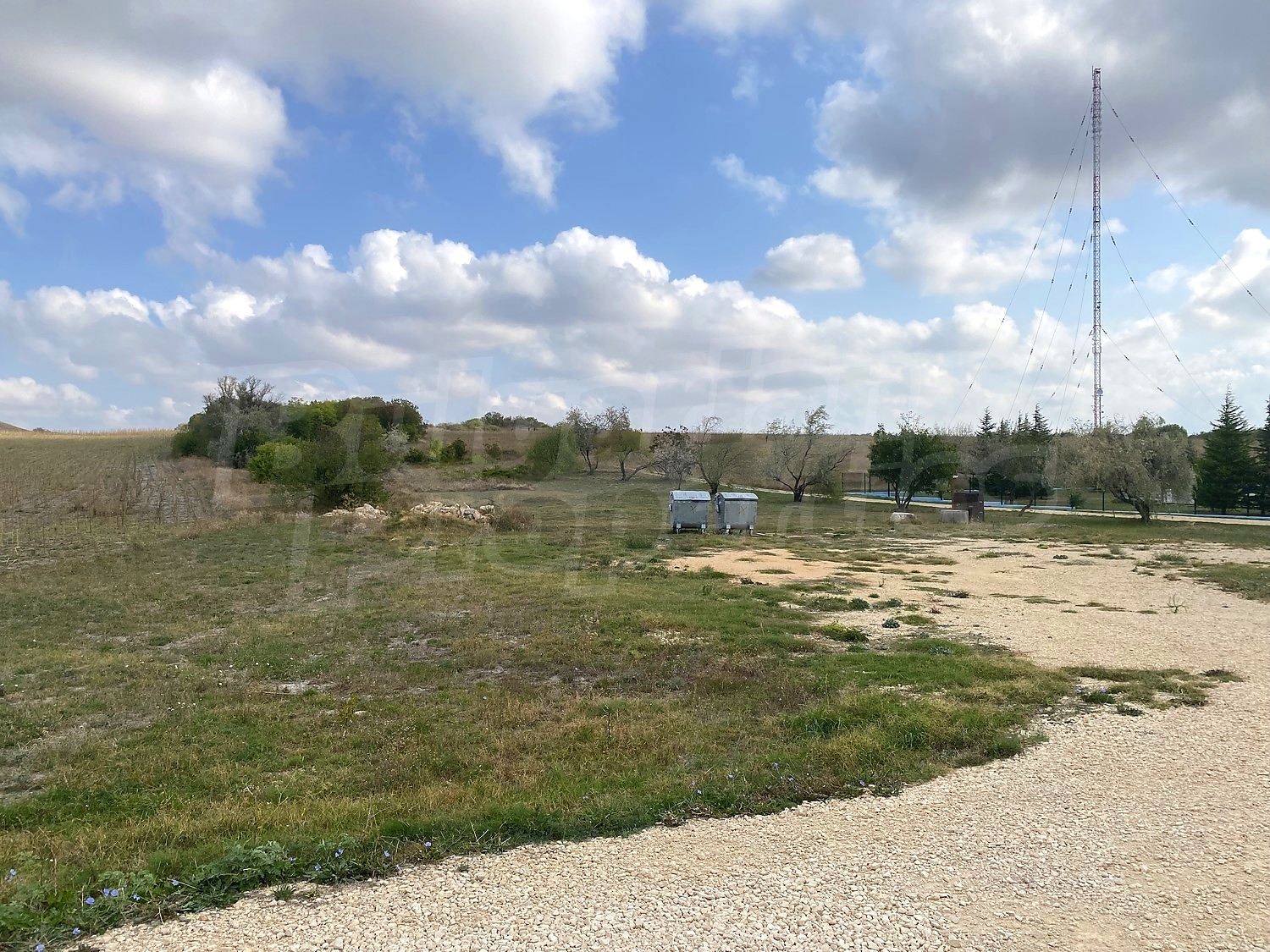 outside, green area