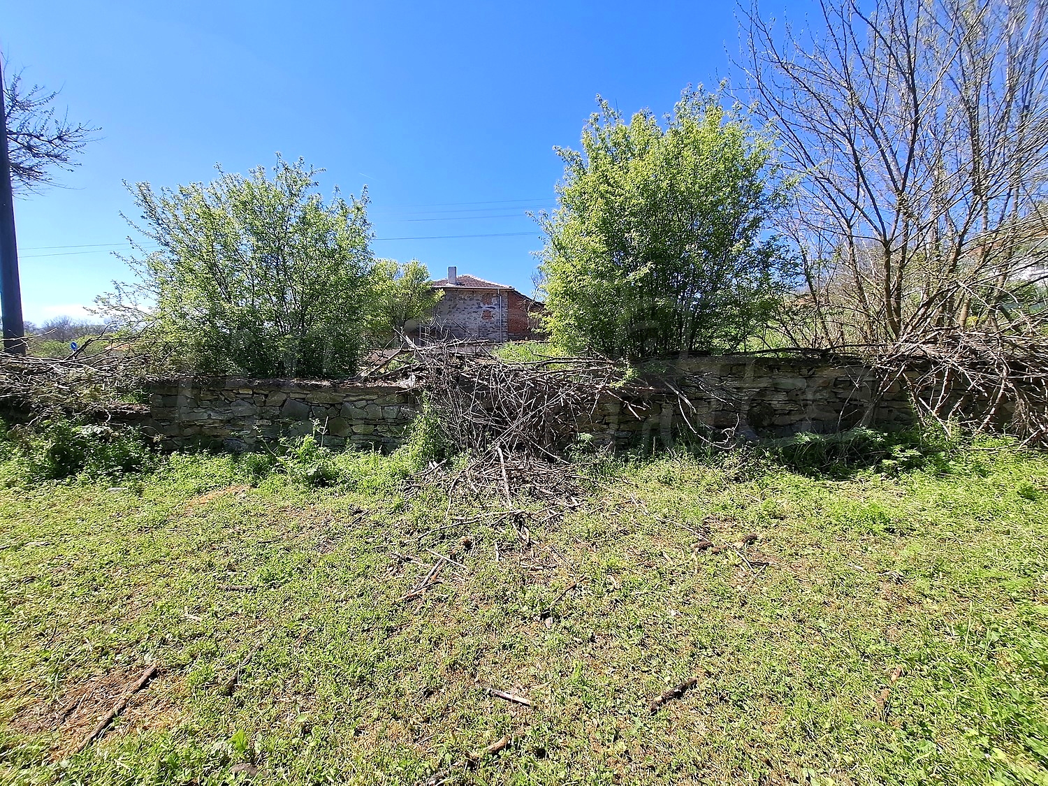 outside, garden