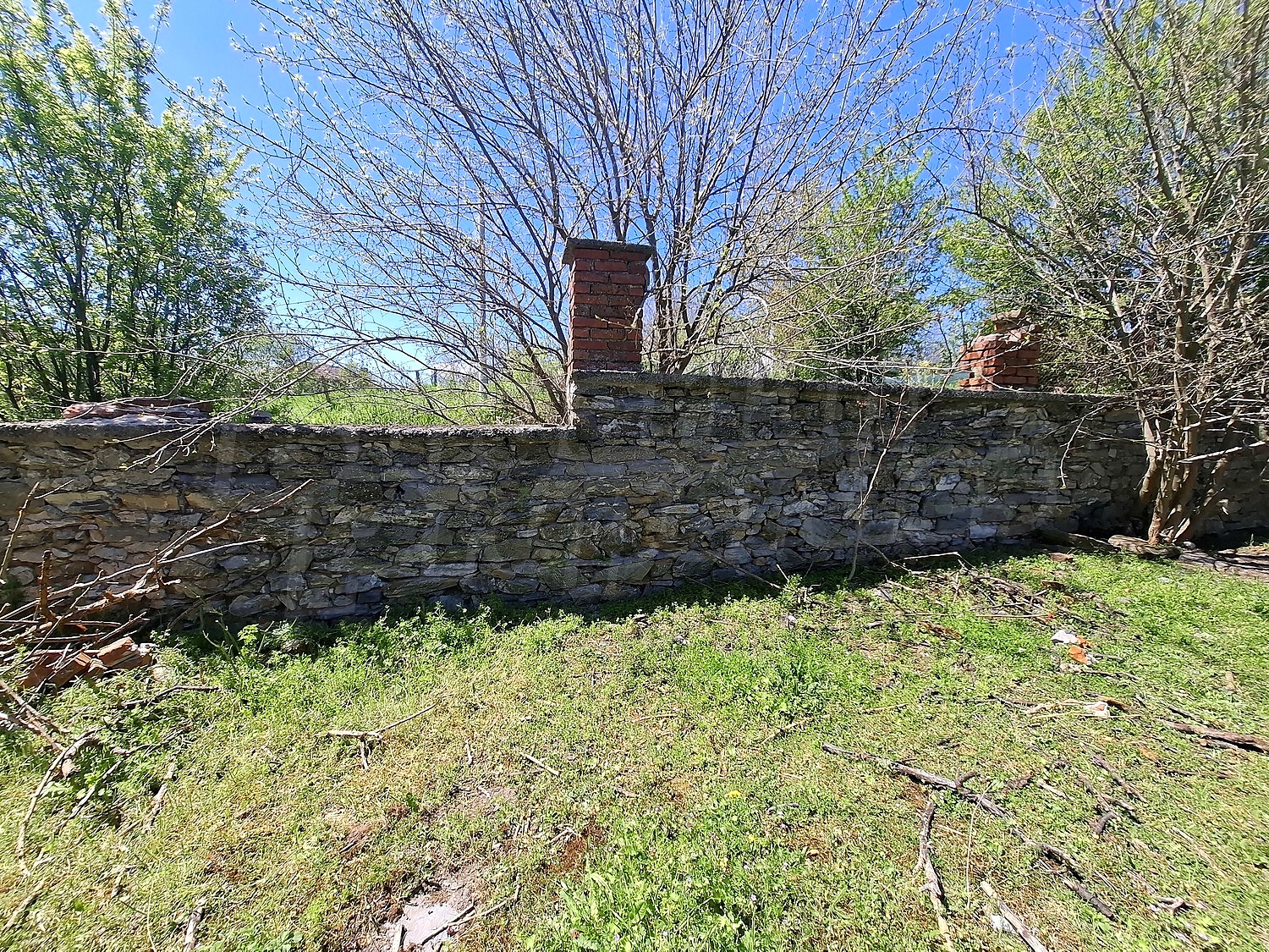outside, garden, green area