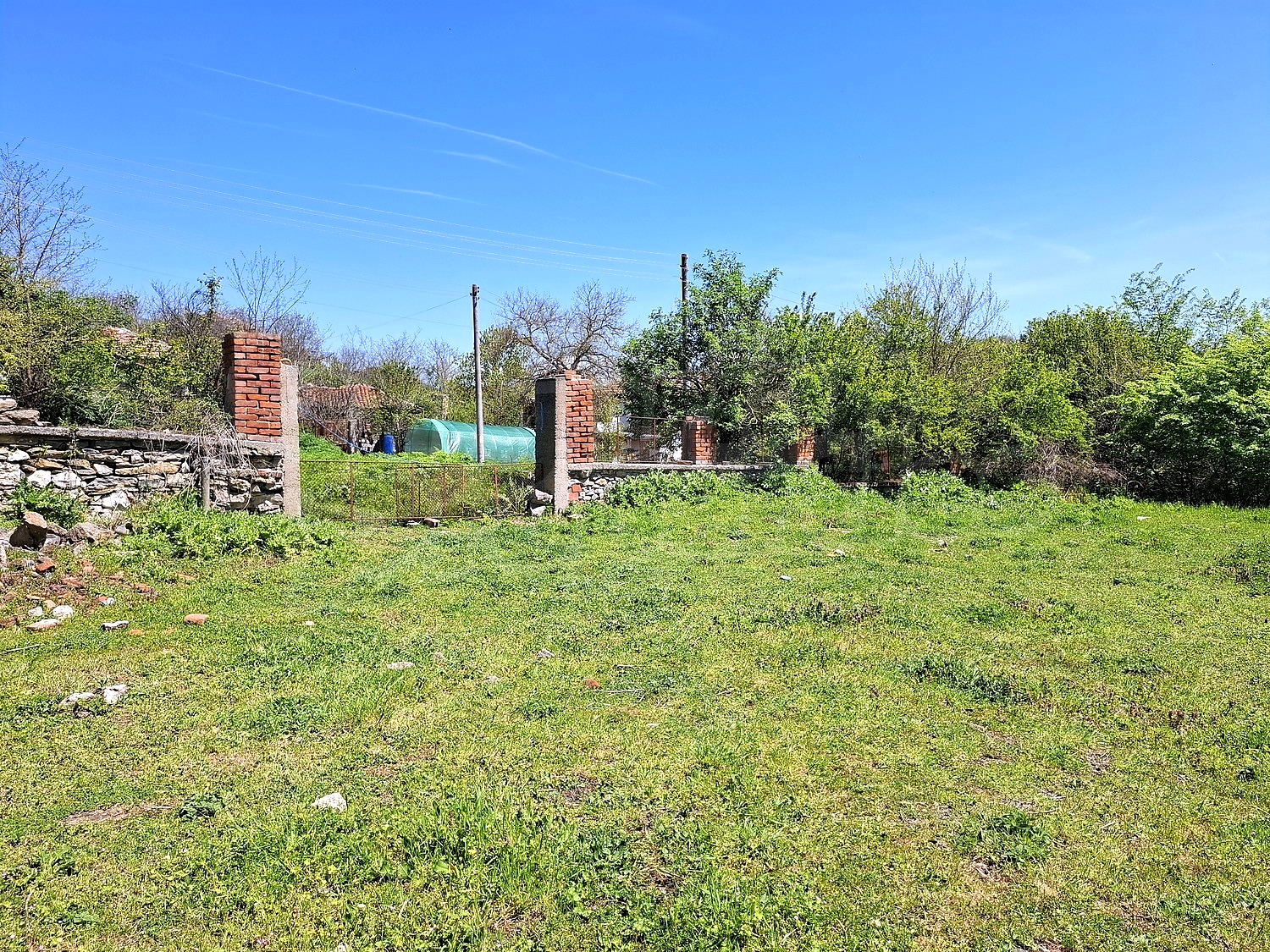 outside, garden, green area