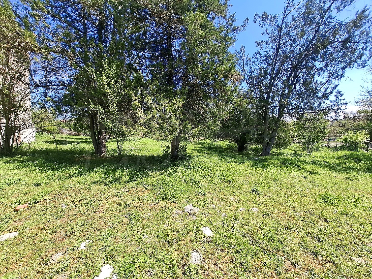 garden, outside, green area