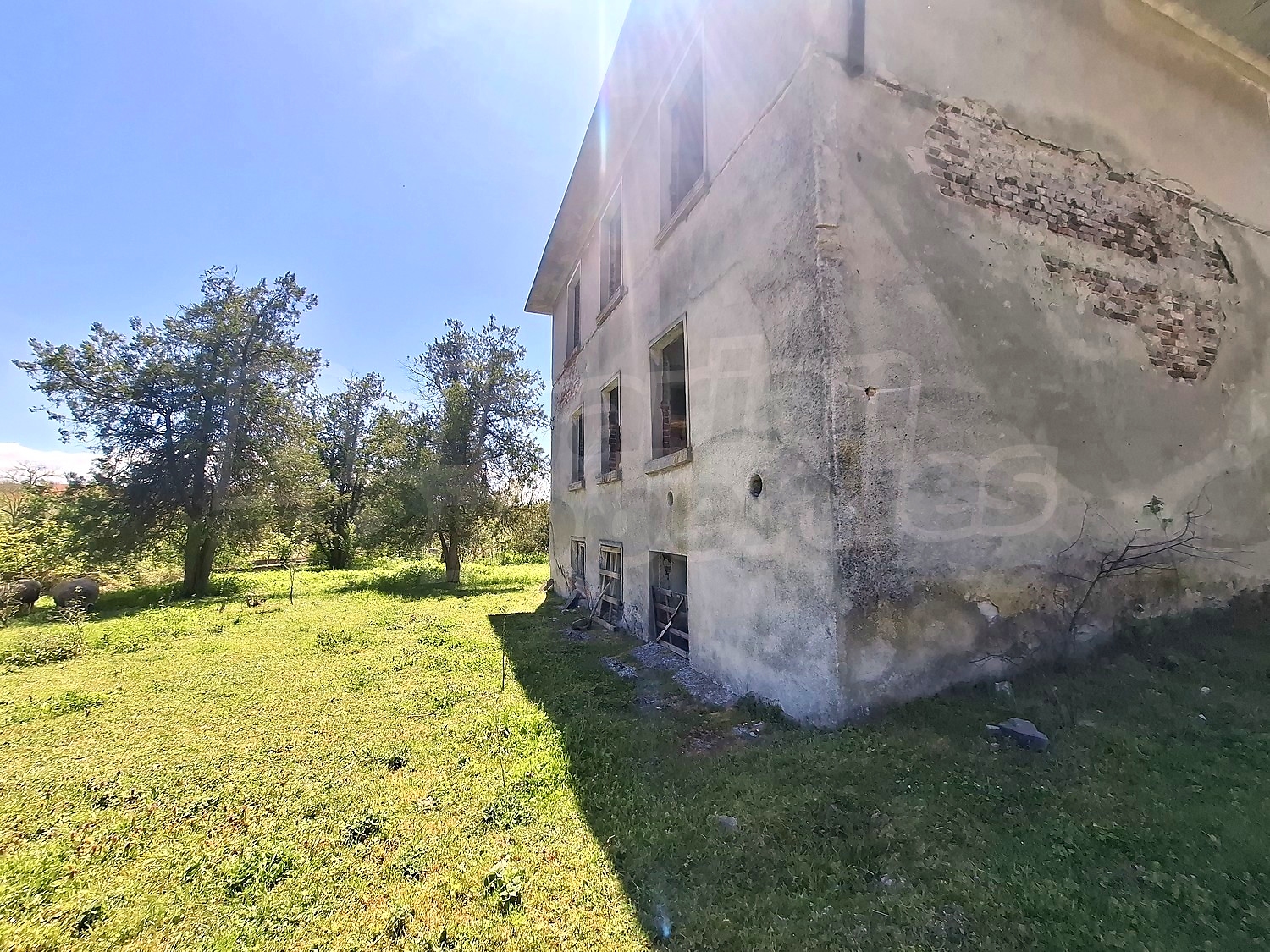 outside, facade, garden, green area