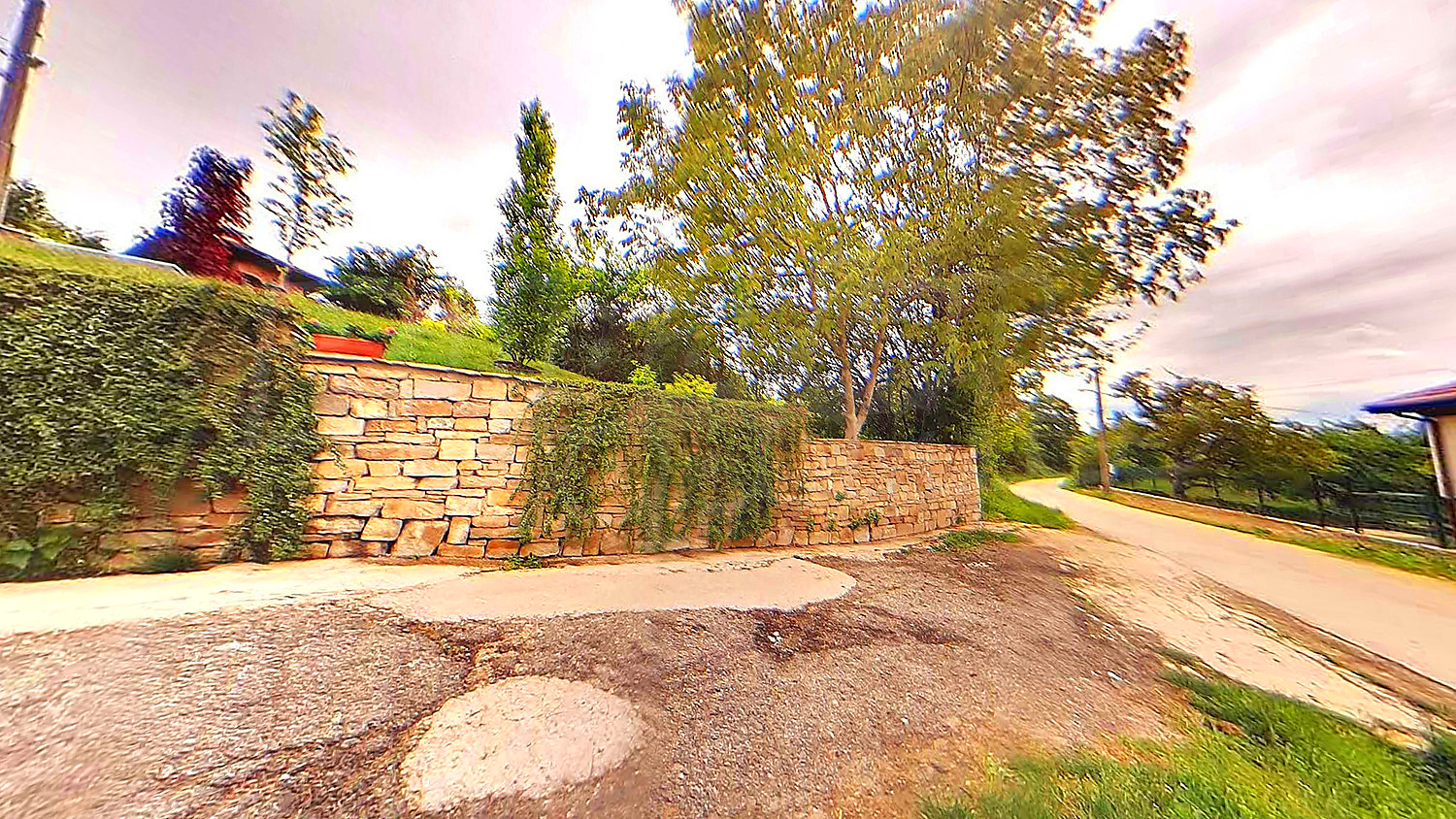 outside, garden