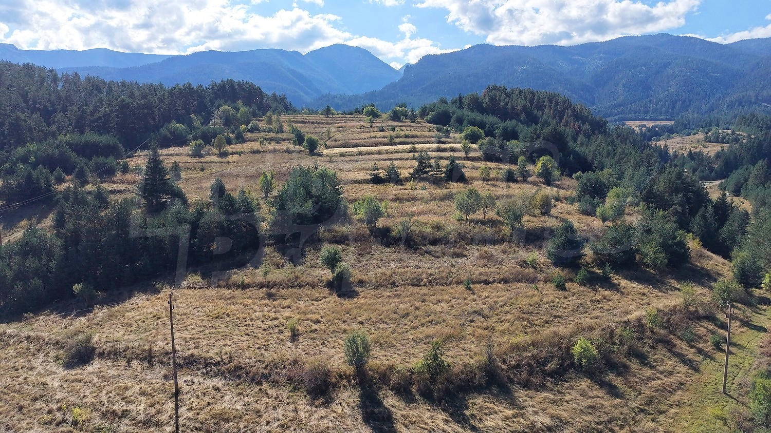 mountain, green area, outside