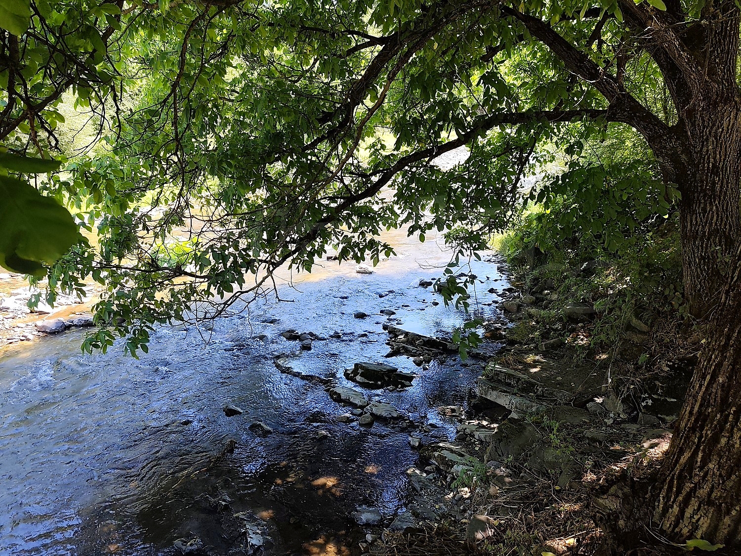 outside, green area