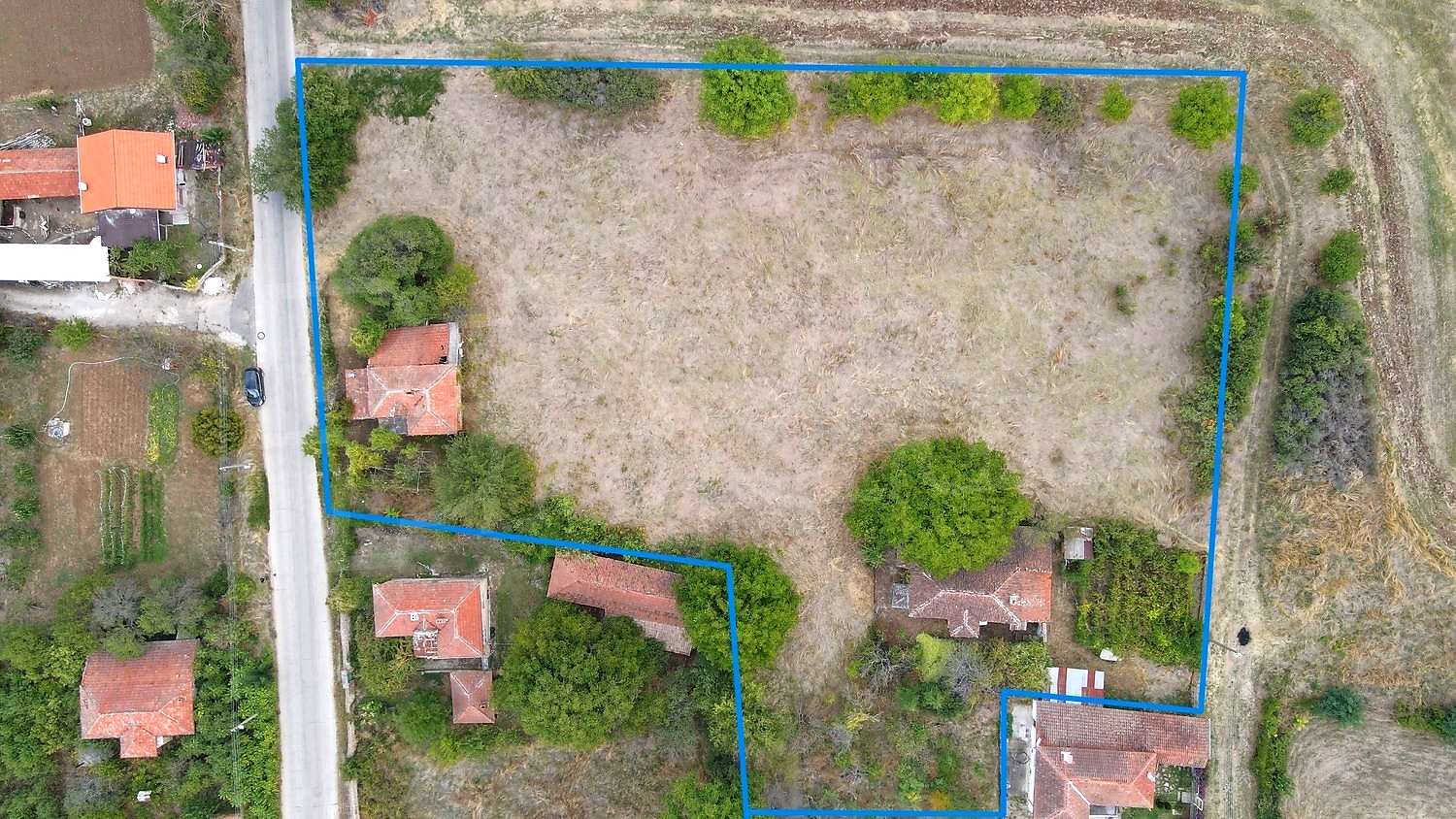 outside, garden
