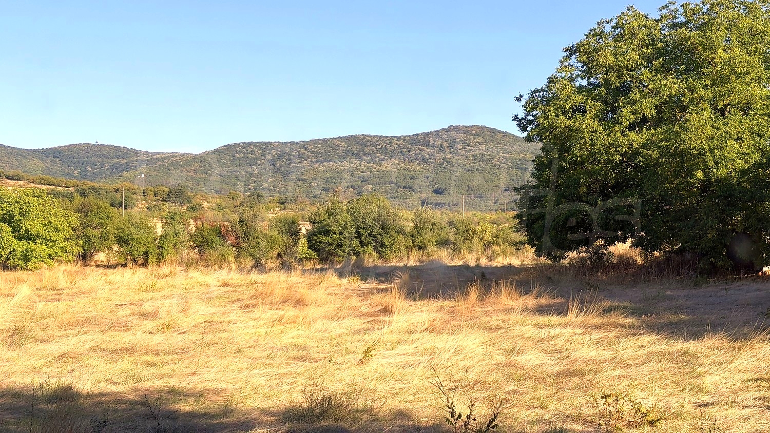 outside, mountain, green area