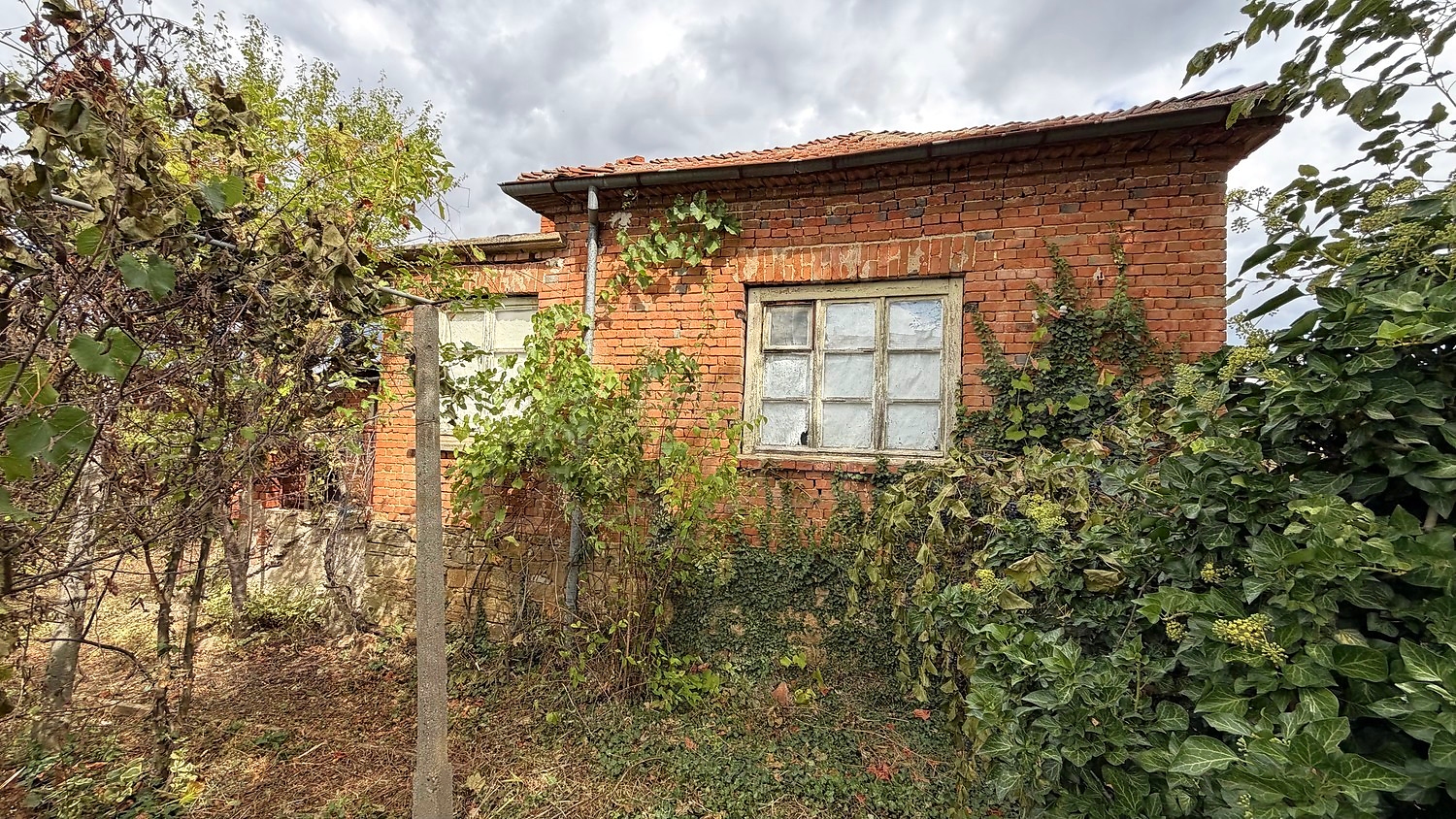 facade, garden, outside
