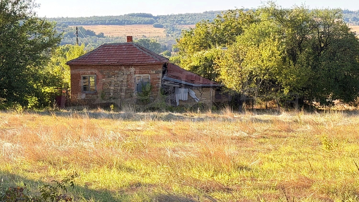 outside, facade, garden, green area