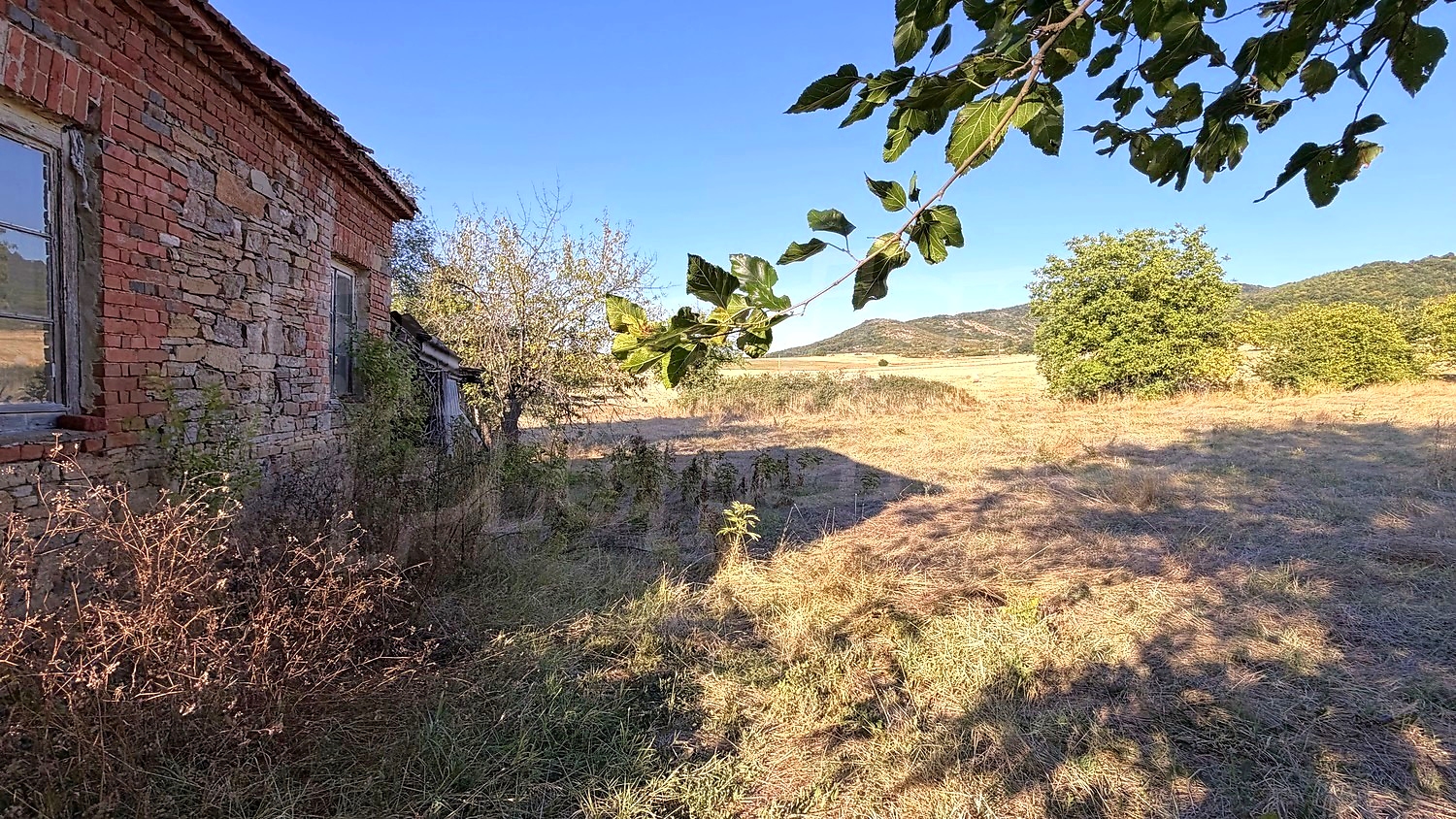 outside, garden, mountain, green area