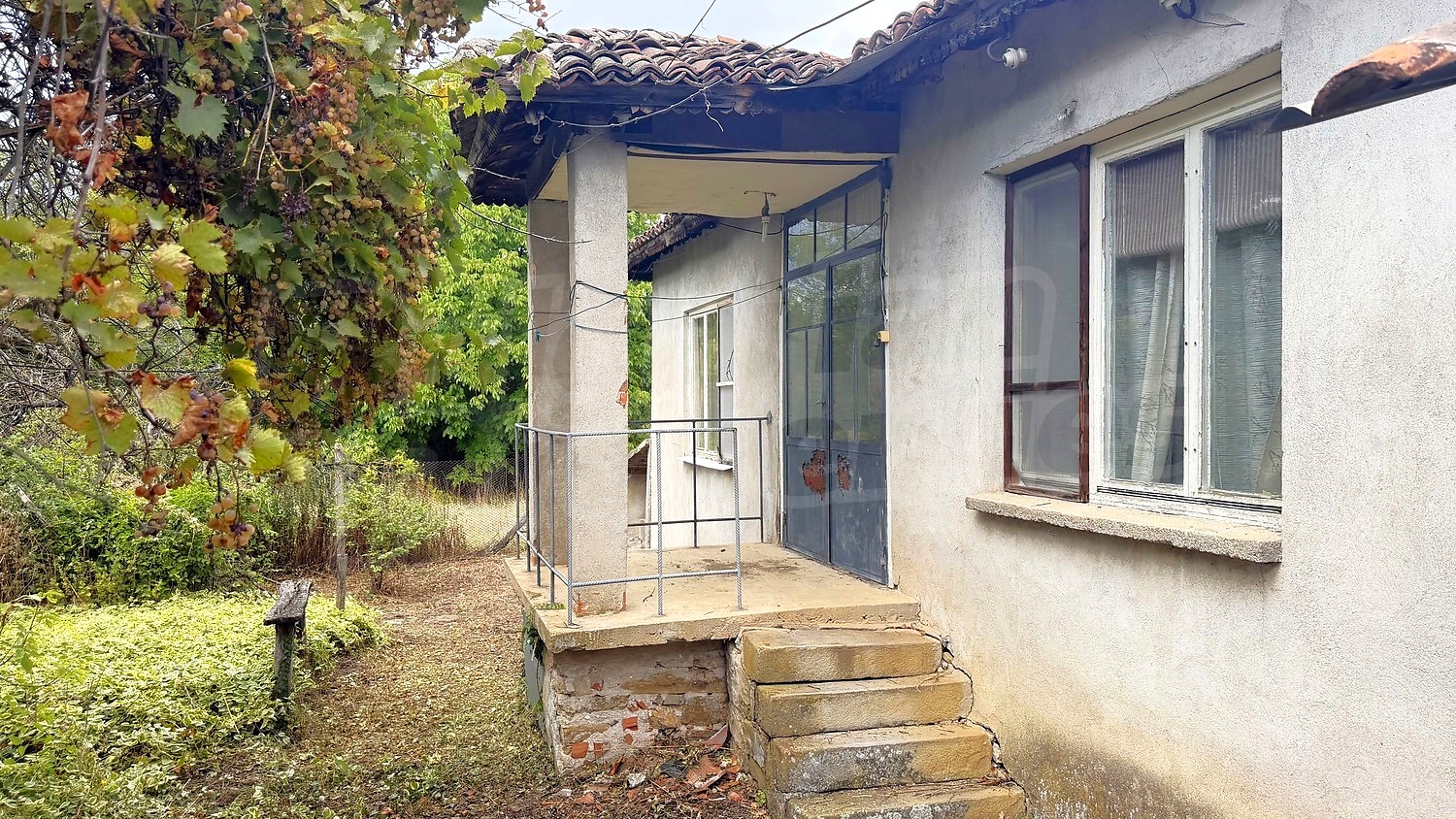 facade, garden, outside, green area