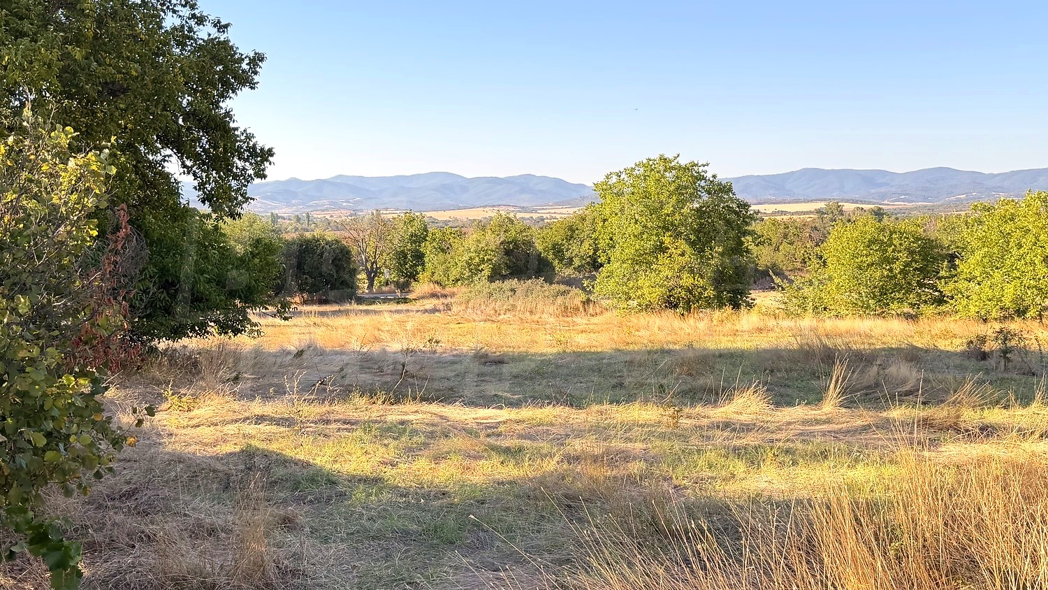 outside, mountain, green area