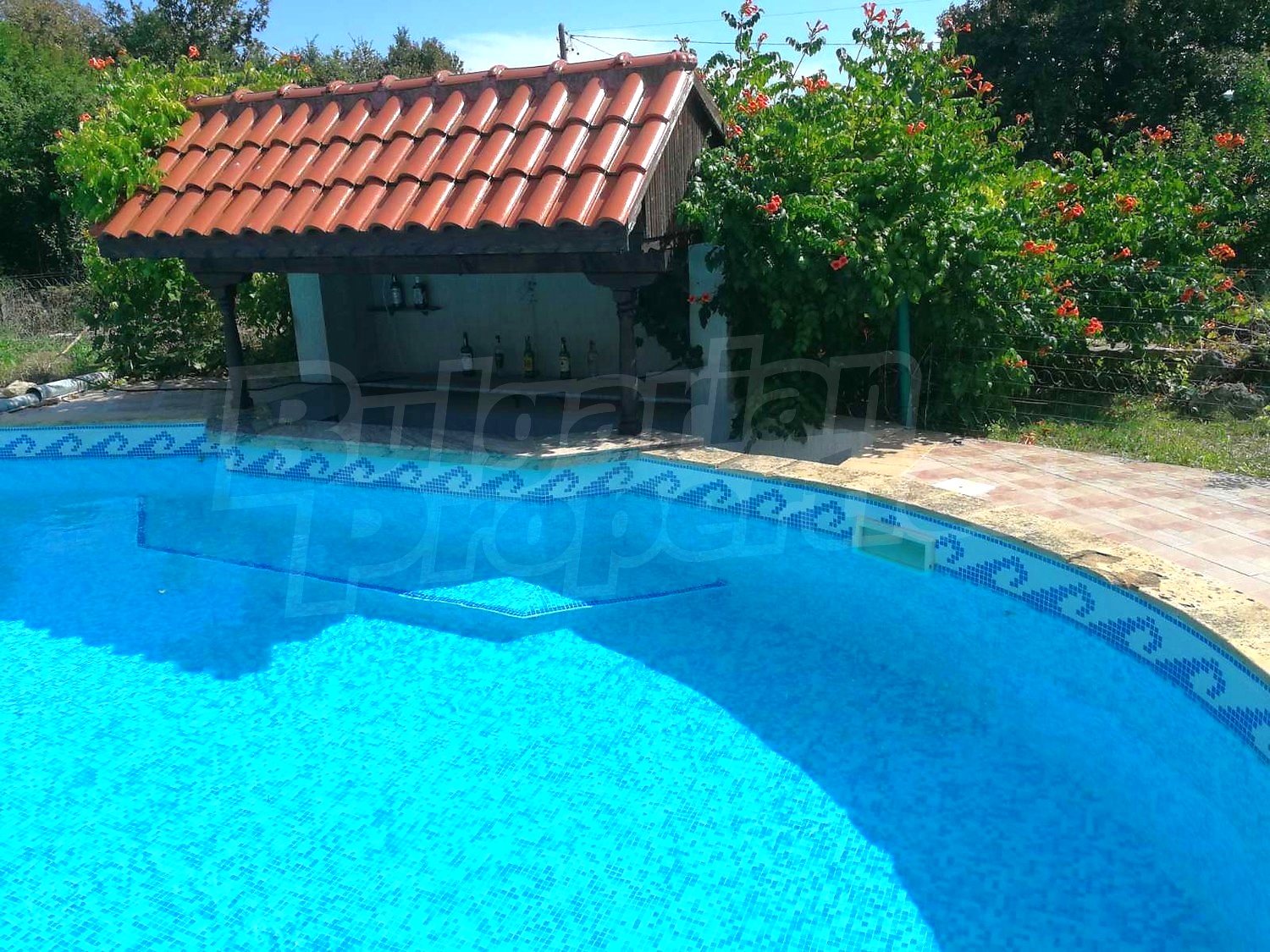 outside, pool, garden