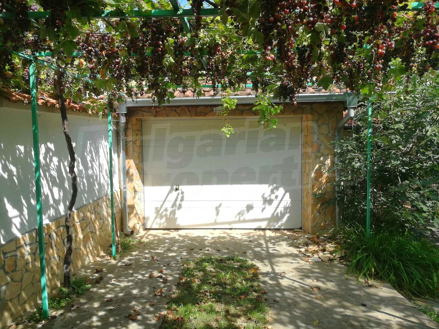 outside, garden