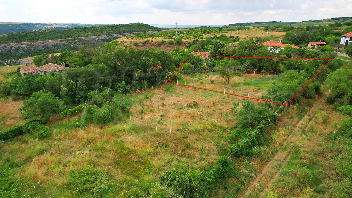outside, green area