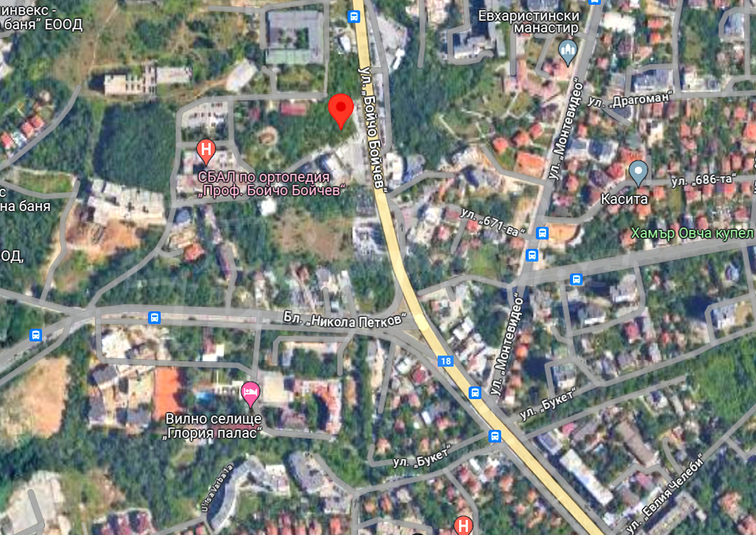 outside, green area